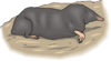 Mole Underground Clip Art